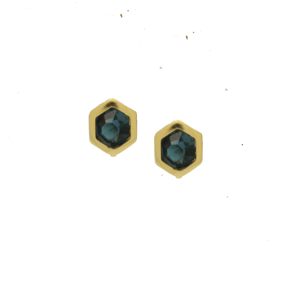 36064 - Earring