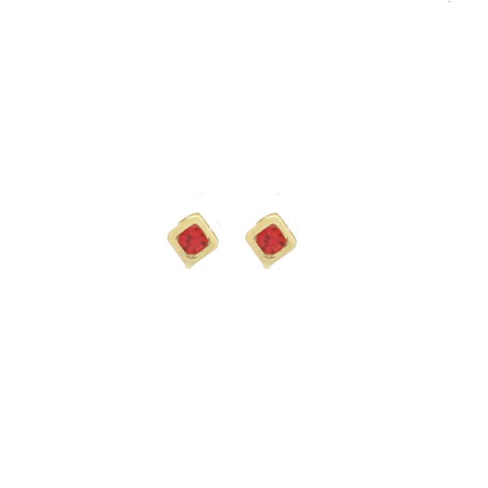 36252 - Earring