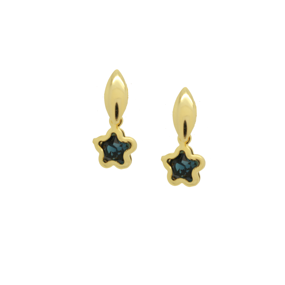 36356 - Earring