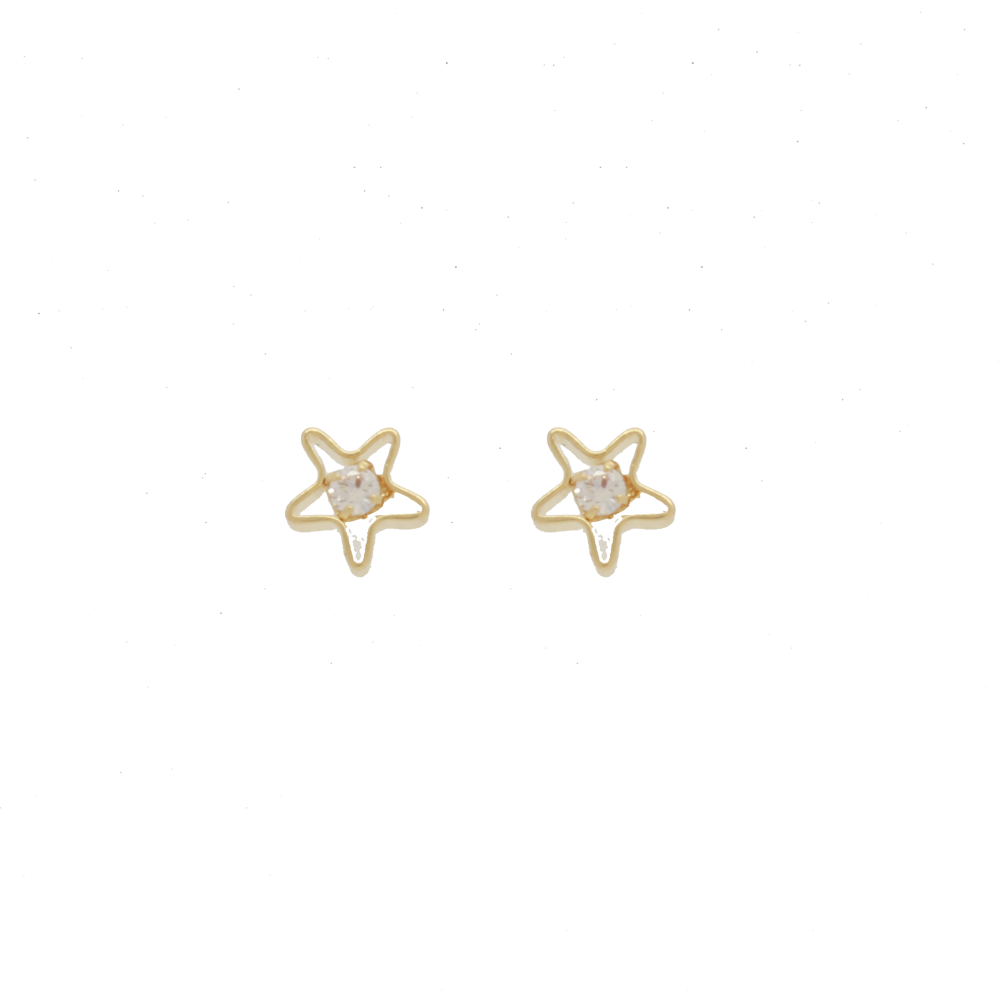 36376 - Earring