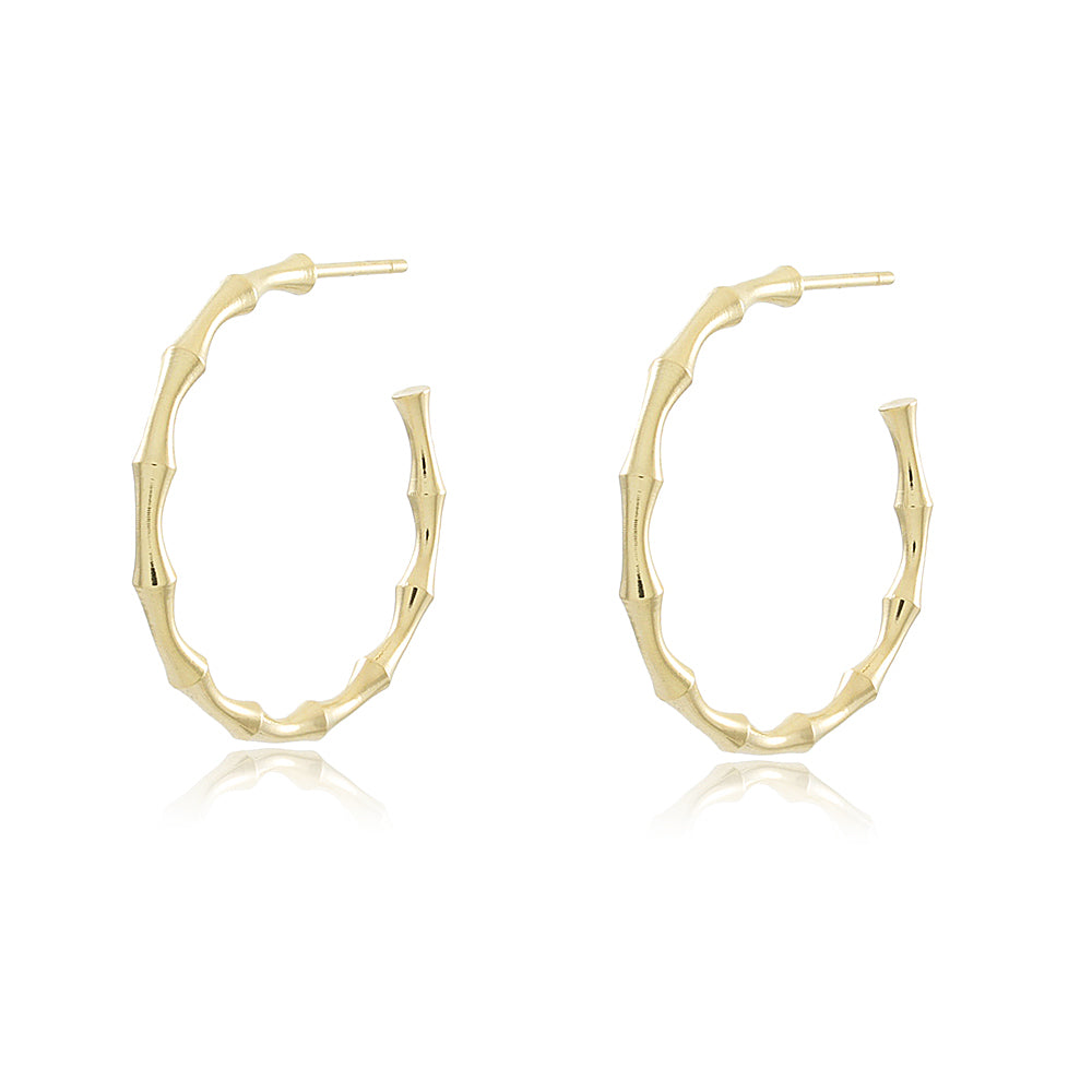 36517 - Earring