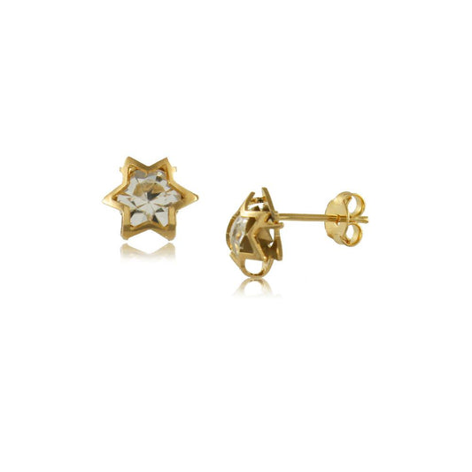36081 18K Gold Layered Earring