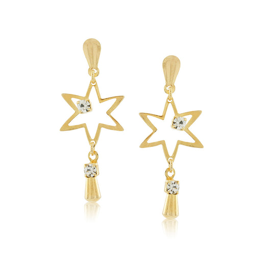 36098 - Earring