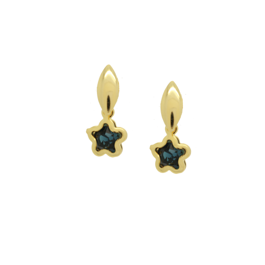 36356 - Earring